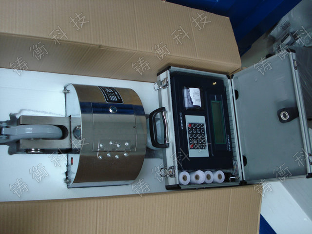 無(wú)線(xiàn)數(shù)傳電子吊秤